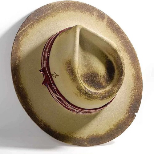 【New Upgrade】Burning Lightning Fedora