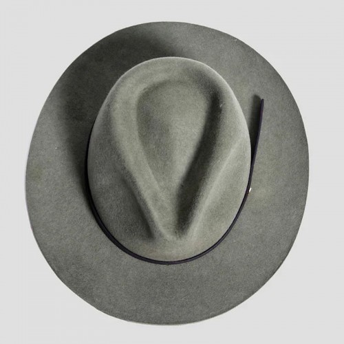 Griffin Fedora